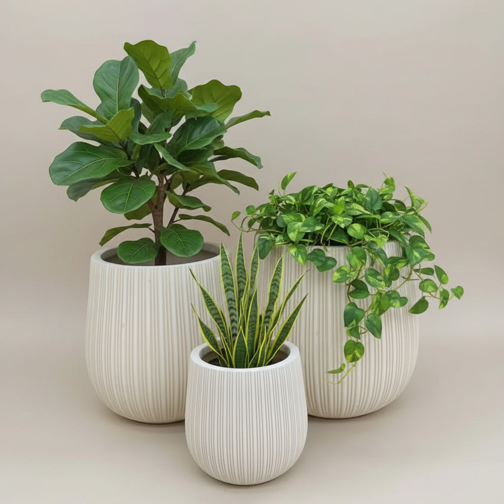 Luxury Concrete Planters Planters Planters