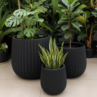 Luxury Concrete Planters Planters Planters