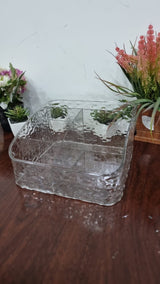 5 Slot Acrylic Makeup and Beauty Accessories Organizer