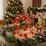 5M Christmas Fairy Lights Christmas String Lights String Lights