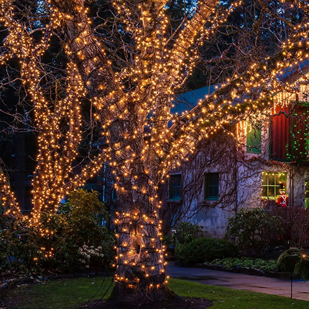 Solar Christmas Fairy String Lights String lights String Lights