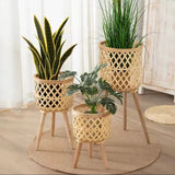Boho Rattan Plant Stand Set Plant stand Plant Stands