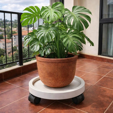 Movable Flower Pot & Gas Cylinder Pallet 39cm with Wheels Flower pot Uncategorized