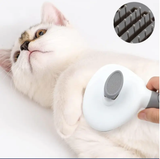 Furaha Finds Pet Grooming Brush