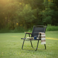 Modern Folding Director Chair Folding chair Folding Chairs