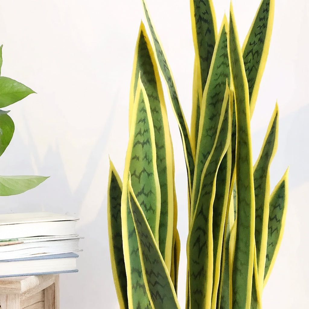 Real Touch Sansevieria Snake Plant 90cm Home & Garden Artificial Non-Flowering Plants