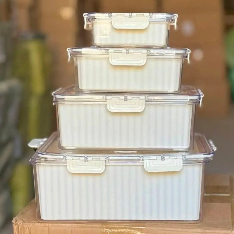4 Pcs Food Grade Eco-Friendly Moisture Proof Storage Container Food Storage Containers