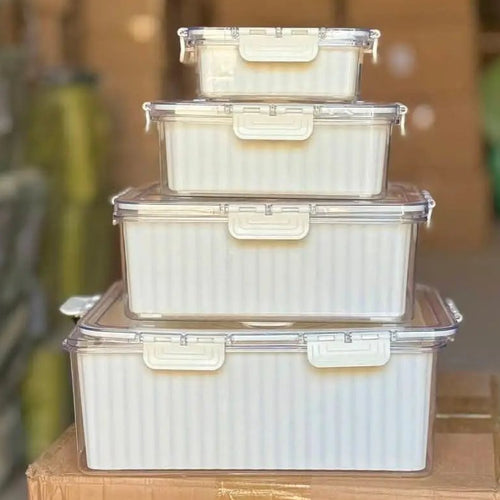 4 Pcs Food Grade Eco-Friendly Moisture Proof Storage Container Food Storage Containers