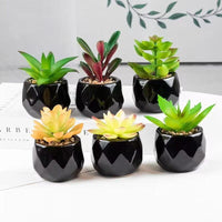 Artificial Succulent Bonsai Plant with Pottery Pot Flower pot
