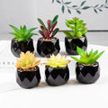 Artificial Succulent Bonsai Plant with Pottery Pot Flower pot
