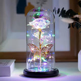 LED Rose Light with Butterfly + LED Strings