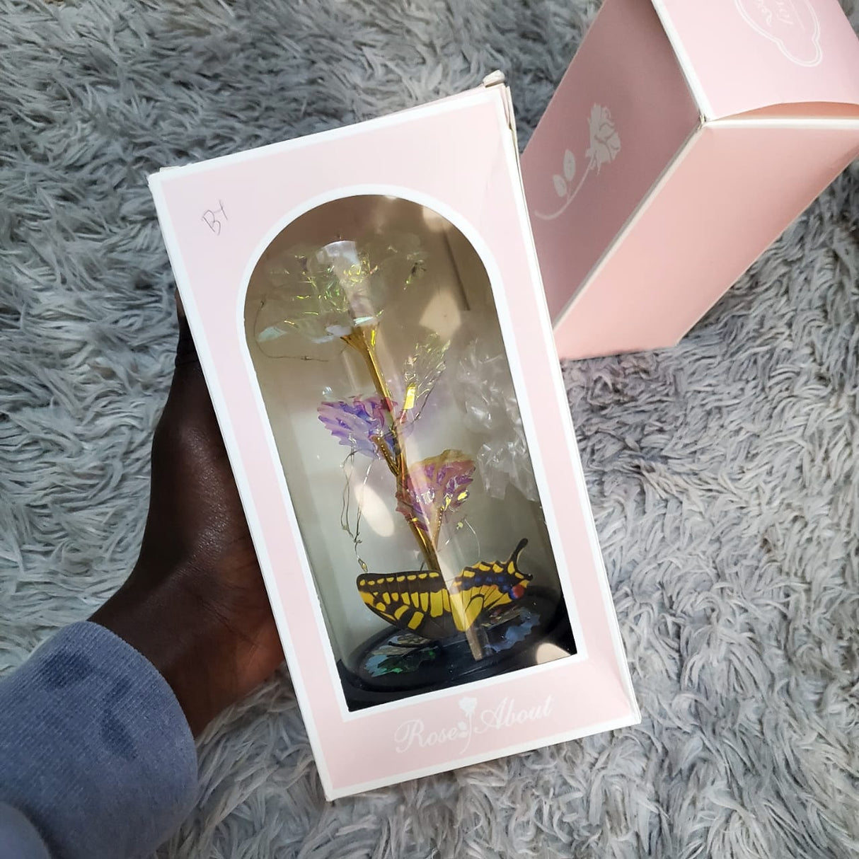 LED Rose Light with Butterfly + LED Strings